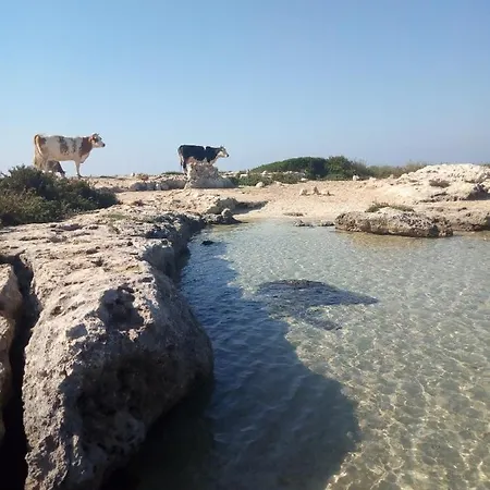 Casa vacanze Itaca Sant Isidoro (Apulia)